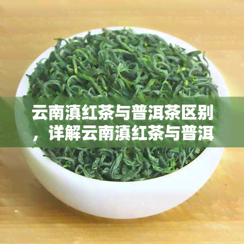 云南滇红茶与普洱茶区别，详解云南滇红茶与普洱茶的区别