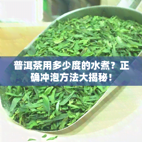 普洱茶用多少度的水煮？正确冲泡方法大揭秘！