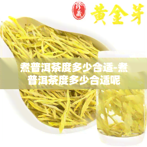 煮普洱茶度多少合适-煮普洱茶度多少合适呢