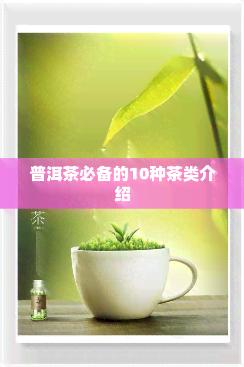 普洱茶必备的10种茶类介绍