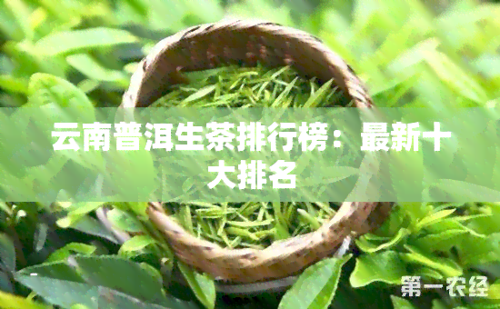 云南普洱生茶排行榜：最新十大排名