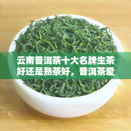 云南普洱茶十大名牌生茶好还是熟茶好，普洱茶爱好者必看：云南普洱茶十大名牌生茶与熟茶的对比评测