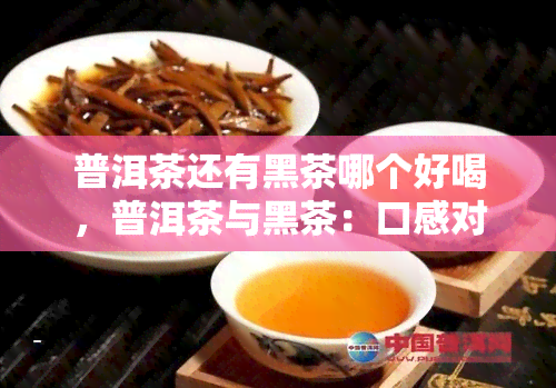 普洱茶还有黑茶哪个好喝，普洱茶与黑茶：口感对比，哪一种更好喝？