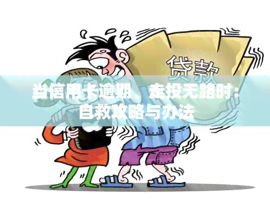 当信用卡逾期、走投无路时：自救攻略与办法