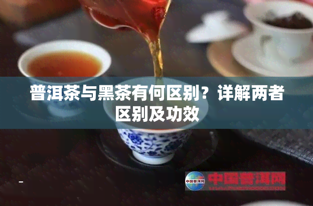 普洱茶与黑茶有何区别？详解两者区别及功效