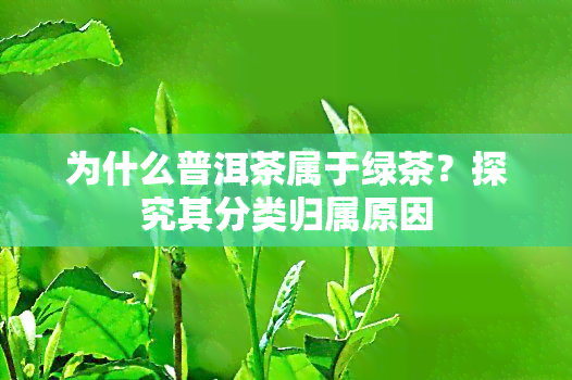 为什么普洱茶属于绿茶？探究其分类归属原因