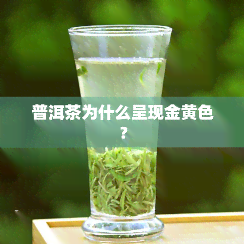 普洱茶为什么呈现金黄色？