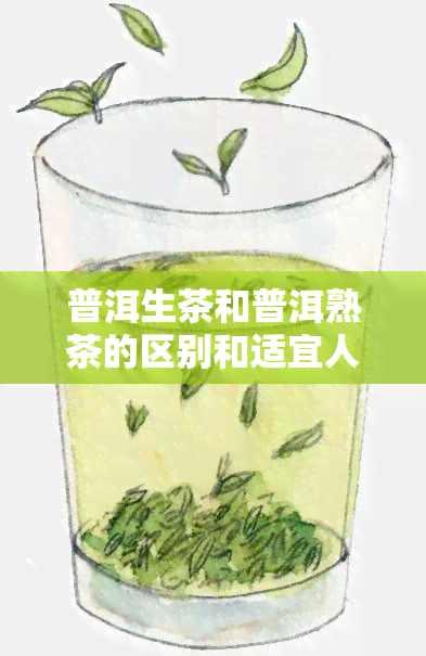 普洱生茶和普洱熟茶的区别和适宜人群!，深度解析：普洱生茶与熟茶的差异及适合人群