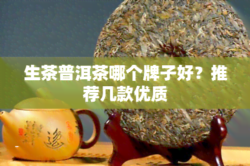 生茶普洱茶哪个牌子好？推荐几款优质