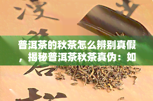 普洱茶的秋茶怎么辨别真假，揭秘普洱茶秋茶真伪：如何辨别真假秋茶？