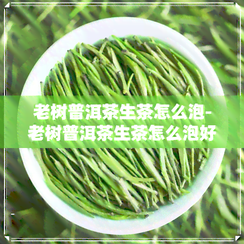 老树普洱茶生茶怎么泡-老树普洱茶生茶怎么泡好喝