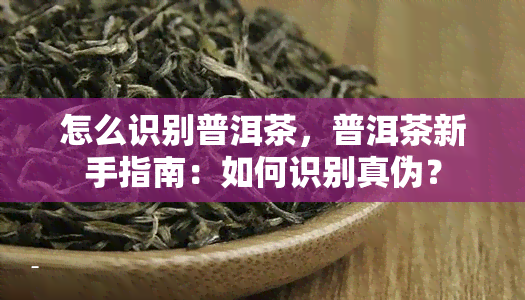 怎么识别普洱茶，普洱茶新手指南：如何识别真伪？