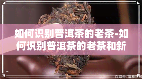 如何识别普洱茶的老茶-如何识别普洱茶的老茶和新茶