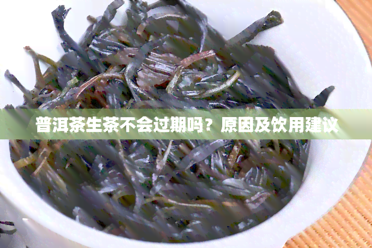 普洱茶生茶不会过期吗？原因及饮用建议