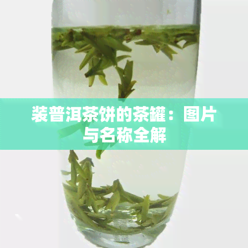 装普洱茶饼的茶罐：图片与名称全解