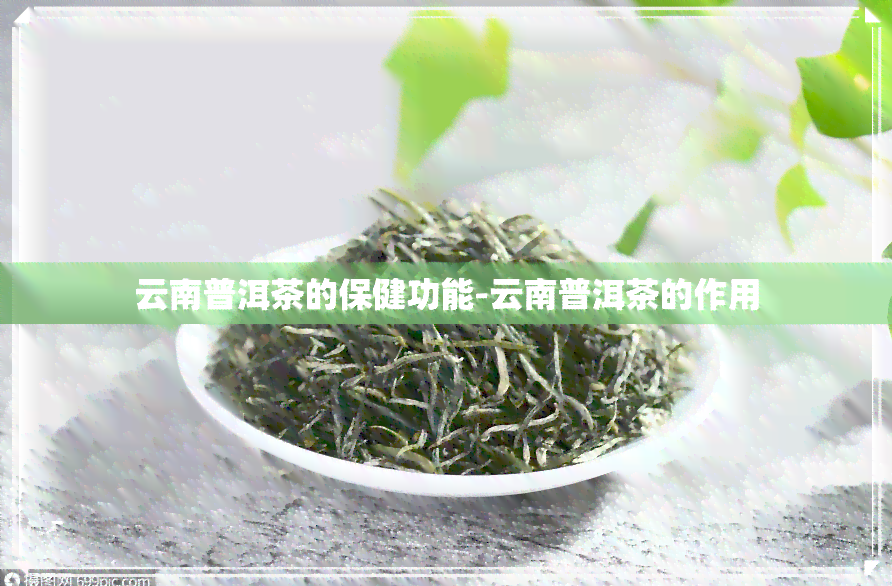 云南普洱茶的保健功能-云南普洱茶的作用