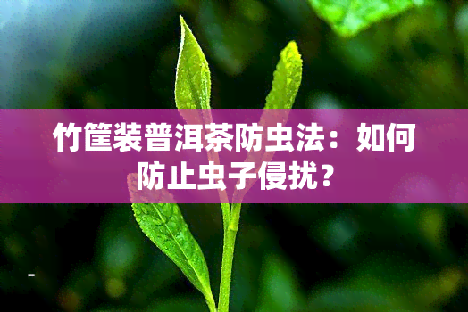 竹筐装普洱茶防虫法：如何防止虫子侵扰？