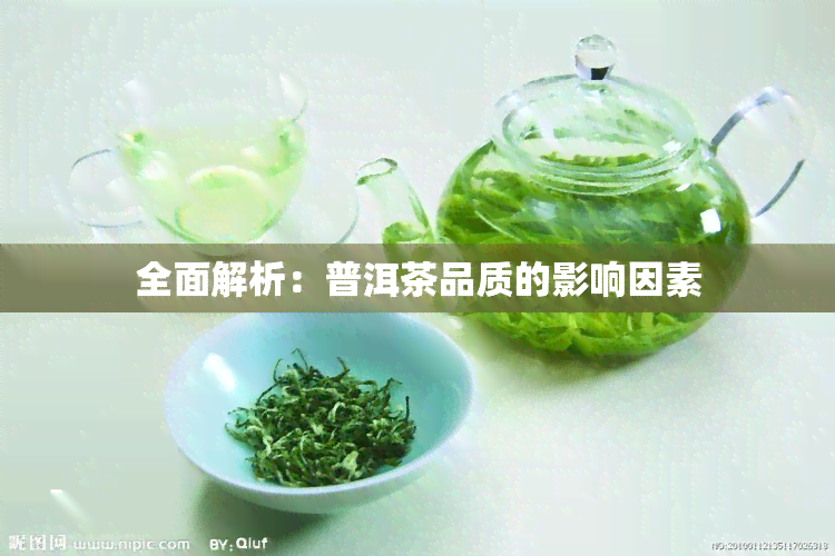 全面解析：普洱茶品质的影响因素