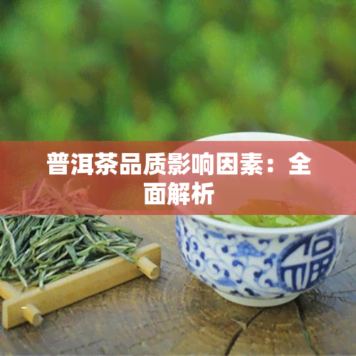 普洱茶品质影响因素：全面解析