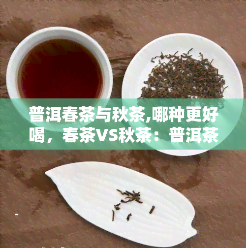 普洱春茶与秋茶,哪种更好喝，春茶VS秋茶：普洱茶哪个节的更胜一筹？