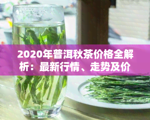 2020年普洱秋茶价格全解析：最新行情、走势及价格表