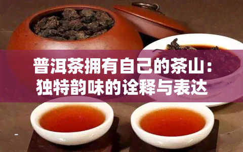 普洱茶拥有自己的茶山：独特韵味的诠释与表达