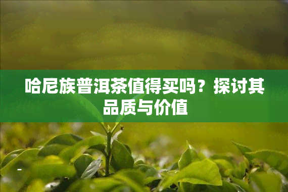 哈尼族普洱茶值得买吗？探讨其品质与价值