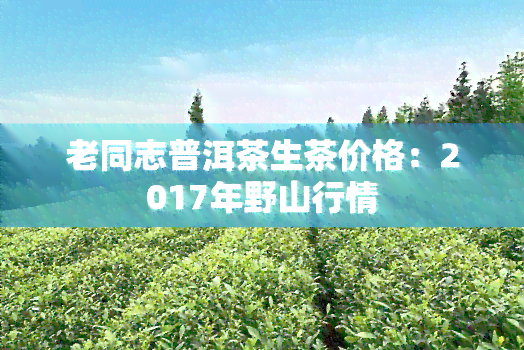 老同志普洱茶生茶价格：2017年野山行情