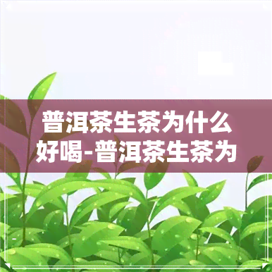 普洱茶生茶为什么好喝-普洱茶生茶为什么好喝呢