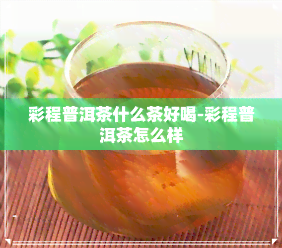 彩程普洱茶什么茶好喝-彩程普洱茶怎么样