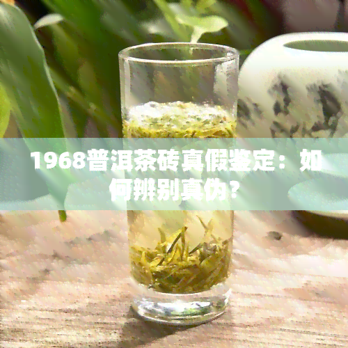 1968普洱茶砖真假鉴定：如何辨别真伪？