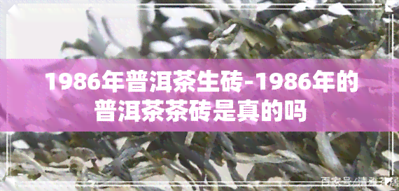 1986年普洱茶生砖-1986年的普洱茶茶砖是真的吗