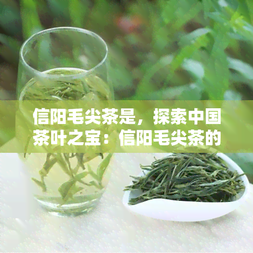 信阳毛尖茶是，探索中国茶叶之宝：信阳毛尖茶的独特魅力与品尝技巧