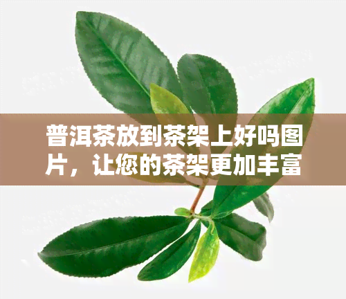 普洱茶放到茶架上好吗图片，让您的茶架更加丰富多彩：如何正确放置普洱茶？附图