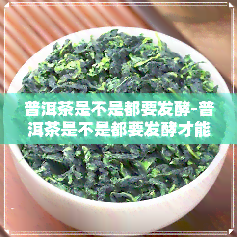 普洱茶是不是都要发酵-普洱茶是不是都要发酵才能喝