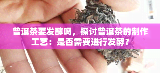 普洱茶要发酵吗，探讨普洱茶的制作工艺：是否需要进行发酵？