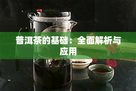 普洱茶的基础：全面解析与应用