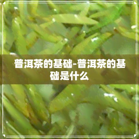 普洱茶的基础-普洱茶的基础是什么