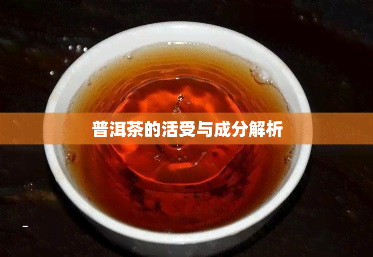 普洱茶的活受与成分解析