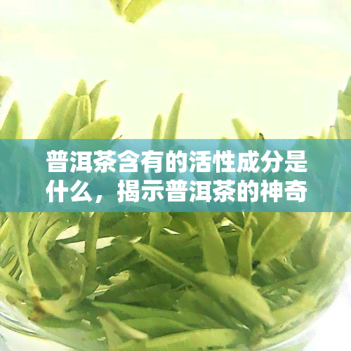 普洱茶含有的活性成分是什么，揭示普洱茶的神奇活性成分！