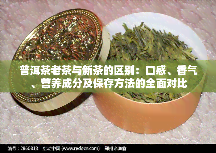 普洱茶老茶与新茶的区别：口感、香气、营养成分及保存方法的全面对比