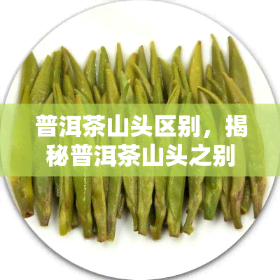 普洱茶山头区别，揭秘普洱茶山头之别：品味不同韵味的茶叶世界