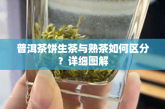 普洱茶饼生茶与熟茶如何区分？详细图解