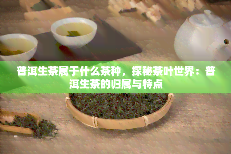 普洱生茶属于什么茶种，探秘茶叶世界：普洱生茶的归属与特点