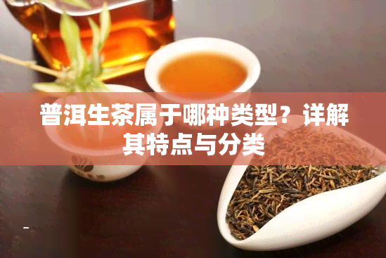 普洱生茶属于哪种类型？详解其特点与分类