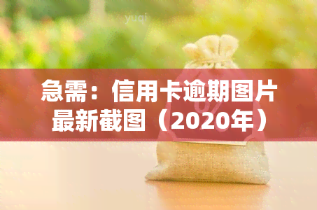 急需：信用卡逾期图片最新截图（2020年）