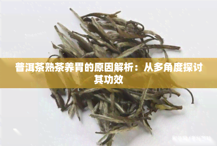 普洱茶熟茶养胃的原因解析：从多角度探讨其功效