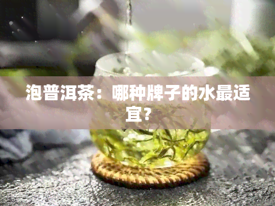 泡普洱茶：哪种牌子的水最适宜？