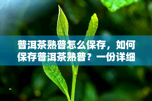 普洱茶熟普怎么保存，如何保存普洱茶熟普？一份详细的保存指南