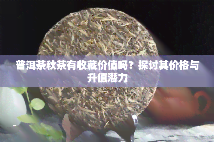 普洱茶秋茶有收藏价值吗？探讨其价格与升值潜力